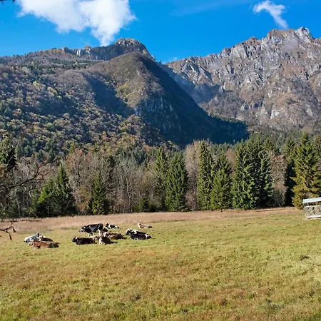 Monolocale Casa Zefira * Pren
